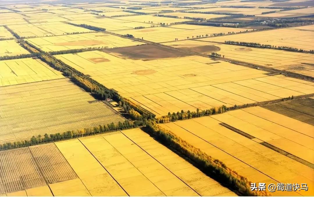 “供销社”给普通人开路，为更多互联网直播人带来创富机会