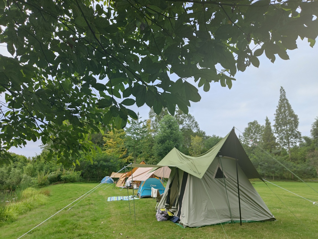 1h直达超好耍露营地！这五处秘密基地出片率100%，带你在星空下篝火旁，拥抱元气秋日大自然~