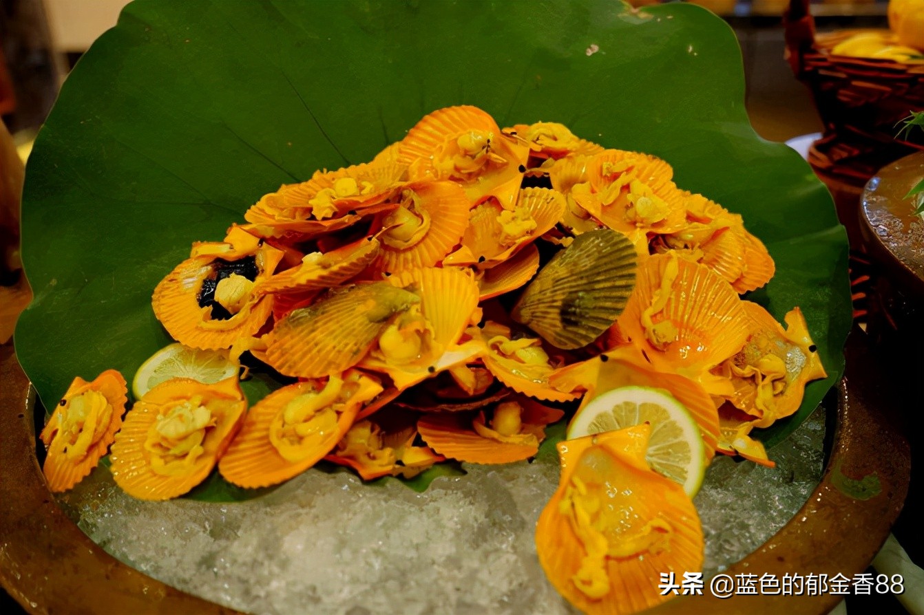 无名河我心中的伊甸园,画出我心中的伊甸园