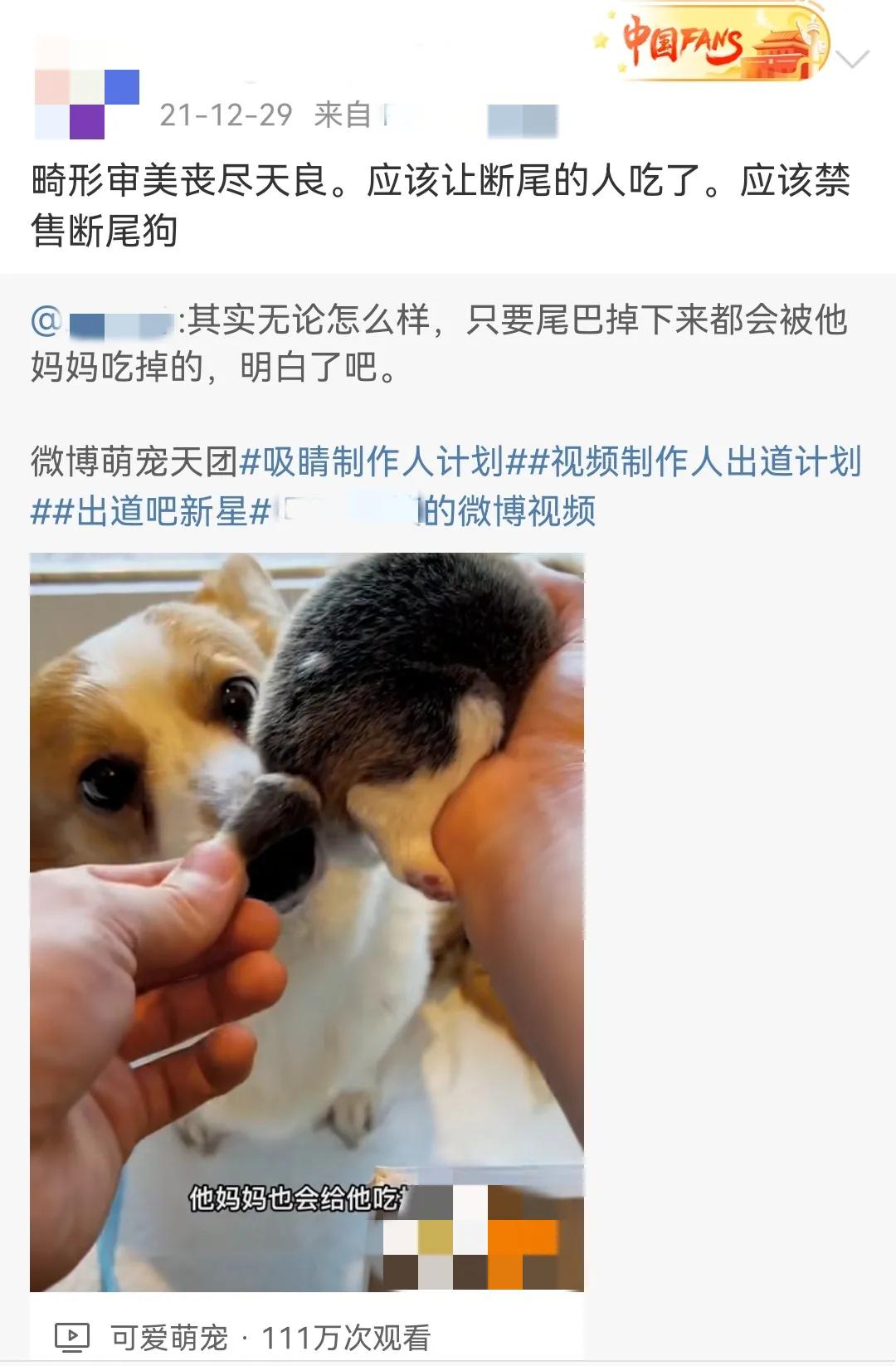 这样的阴间猫狗审美,早该翻车了