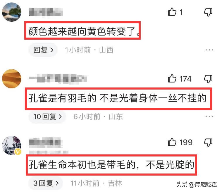 春之祭杨丽萍男舞者,春之祭杨丽萍主演吗