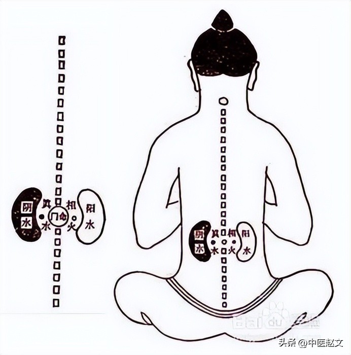 肾气虚肾精亏虚怕冷用什么中成药,补肾不知道肾阴虚肾阳虚怎么补