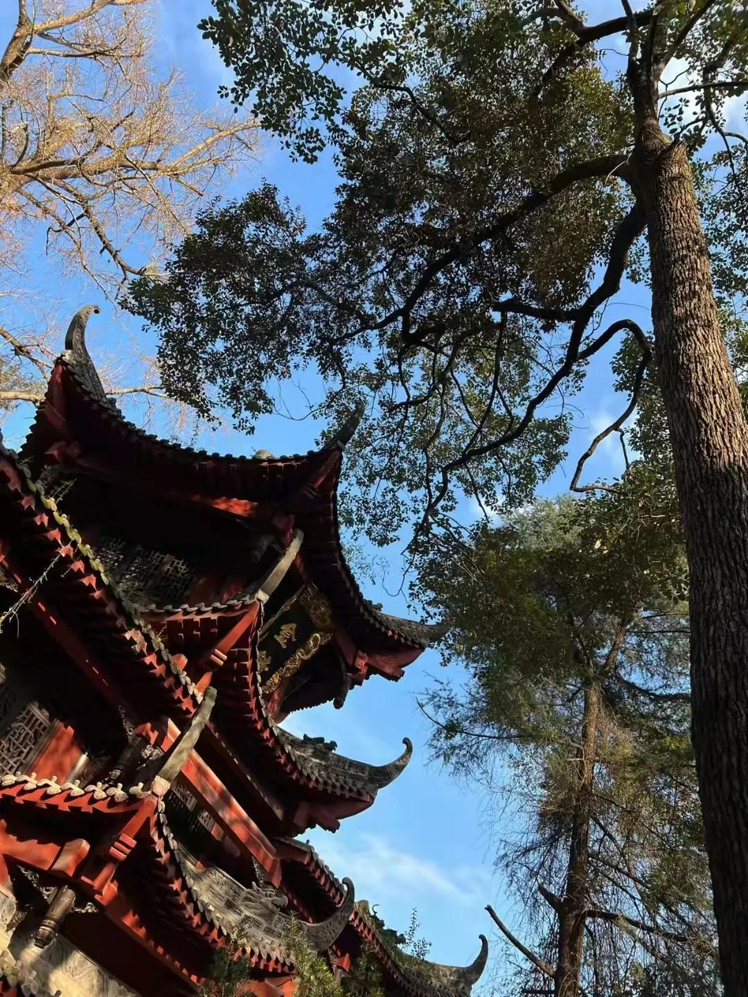 耿直的人跟圆滑相处会怎么样,直爽的人和圆滑的人