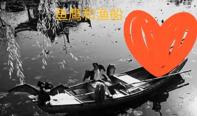 老爷爷二胡自制,老奶奶自制二胡