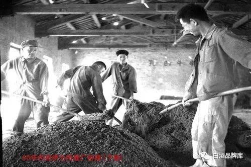 新疆伊力特新消息,新疆伊力特行业现状