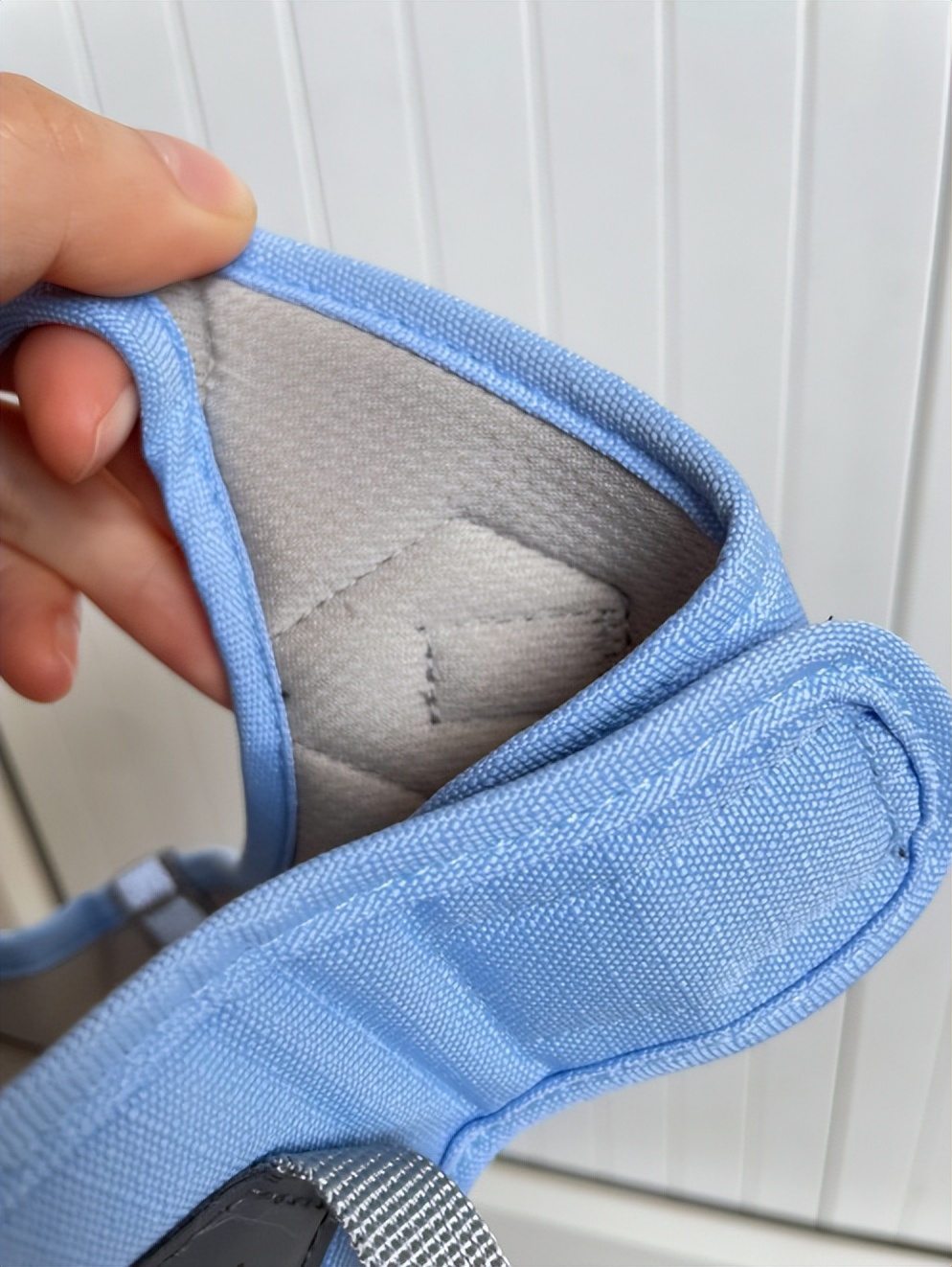 肥猫宠物猫砂推荐,猫咪博主推荐猫砂