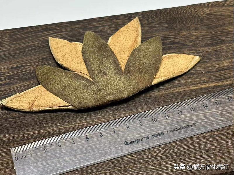 化州橘红皮和橘红有什么区别,化橘红皮怎么分辨年份