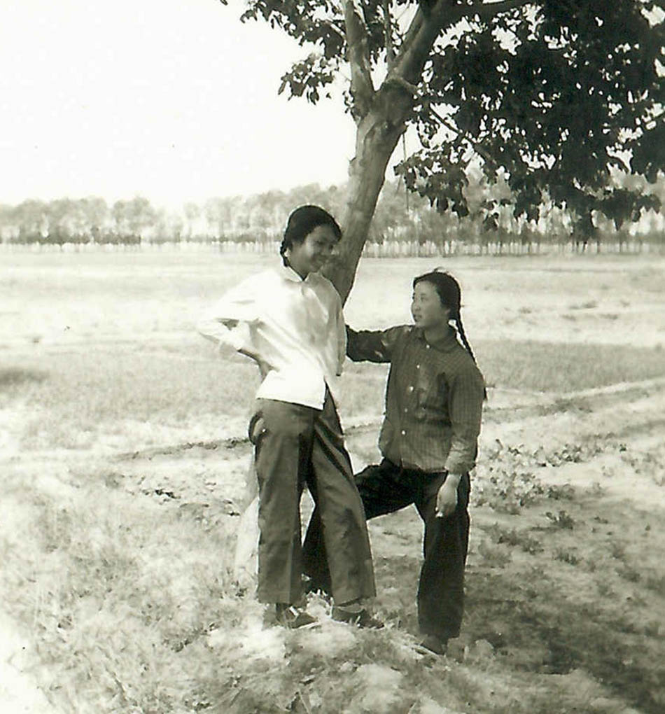 我一直暗恋一个人,我一直暗恋一个人是什么梗