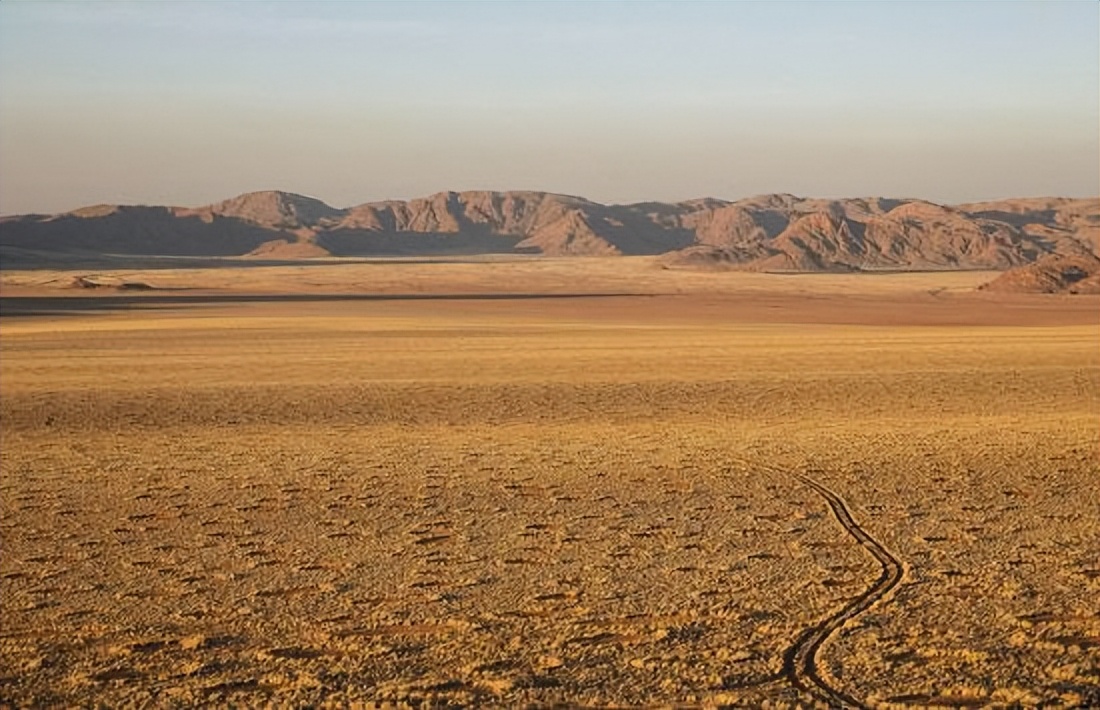 中国姑娘嫁到南非半月就想离婚,嫁到南非的女孩后来怎么样了