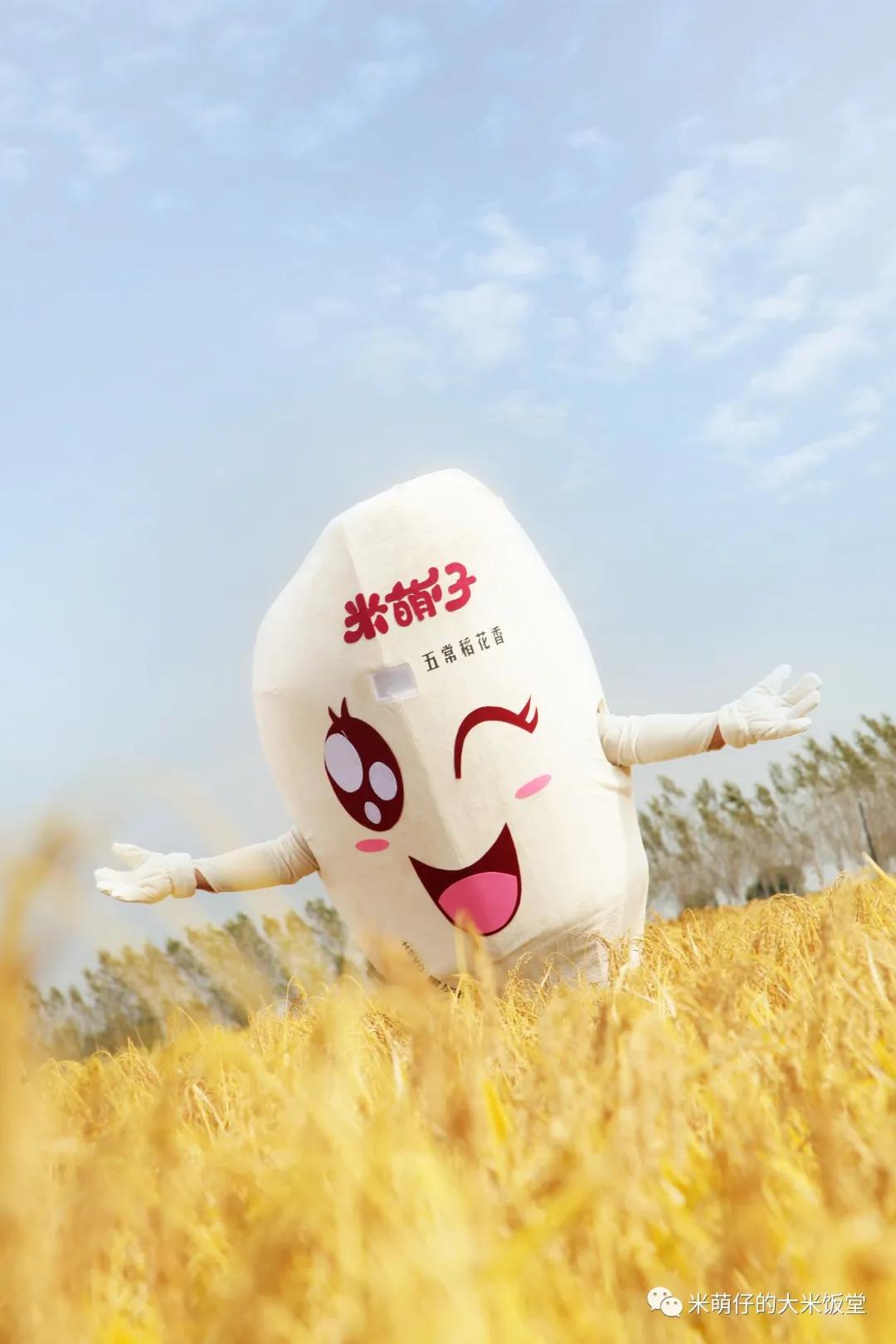 煲仔饭品牌加盟店如何避免亏损,现在加盟煲仔饭店如何