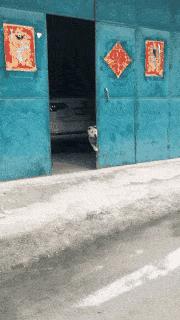 哈哈笑抽了，现在全网都知道他被绿了，网友：头上顶着青青草原