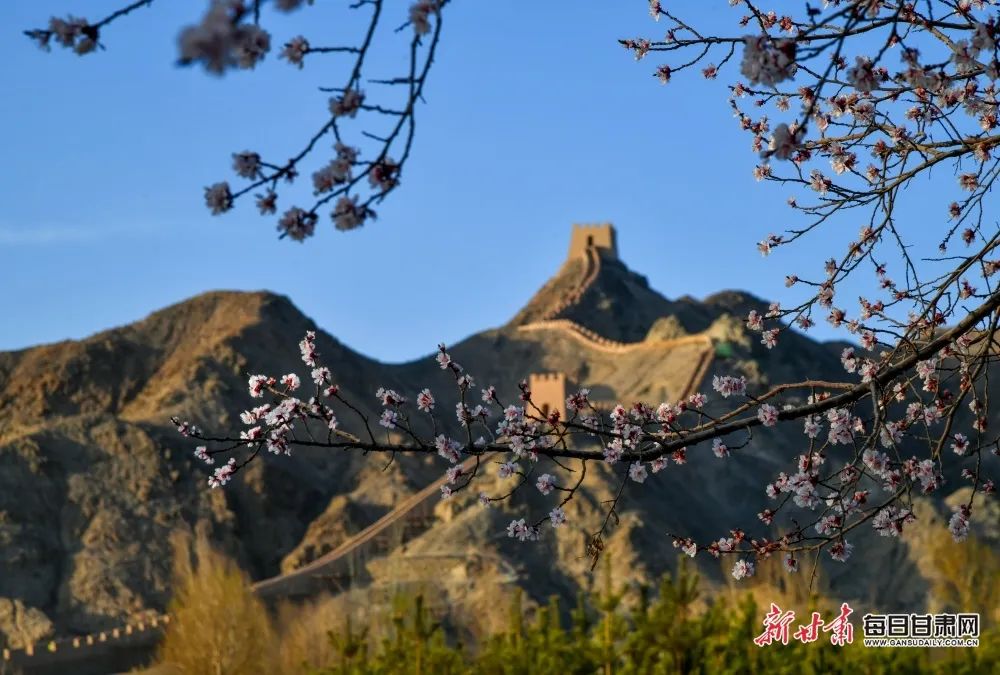 新冠肺炎的早期症状有结膜炎吗,新冠结膜炎和普通结膜炎的区别