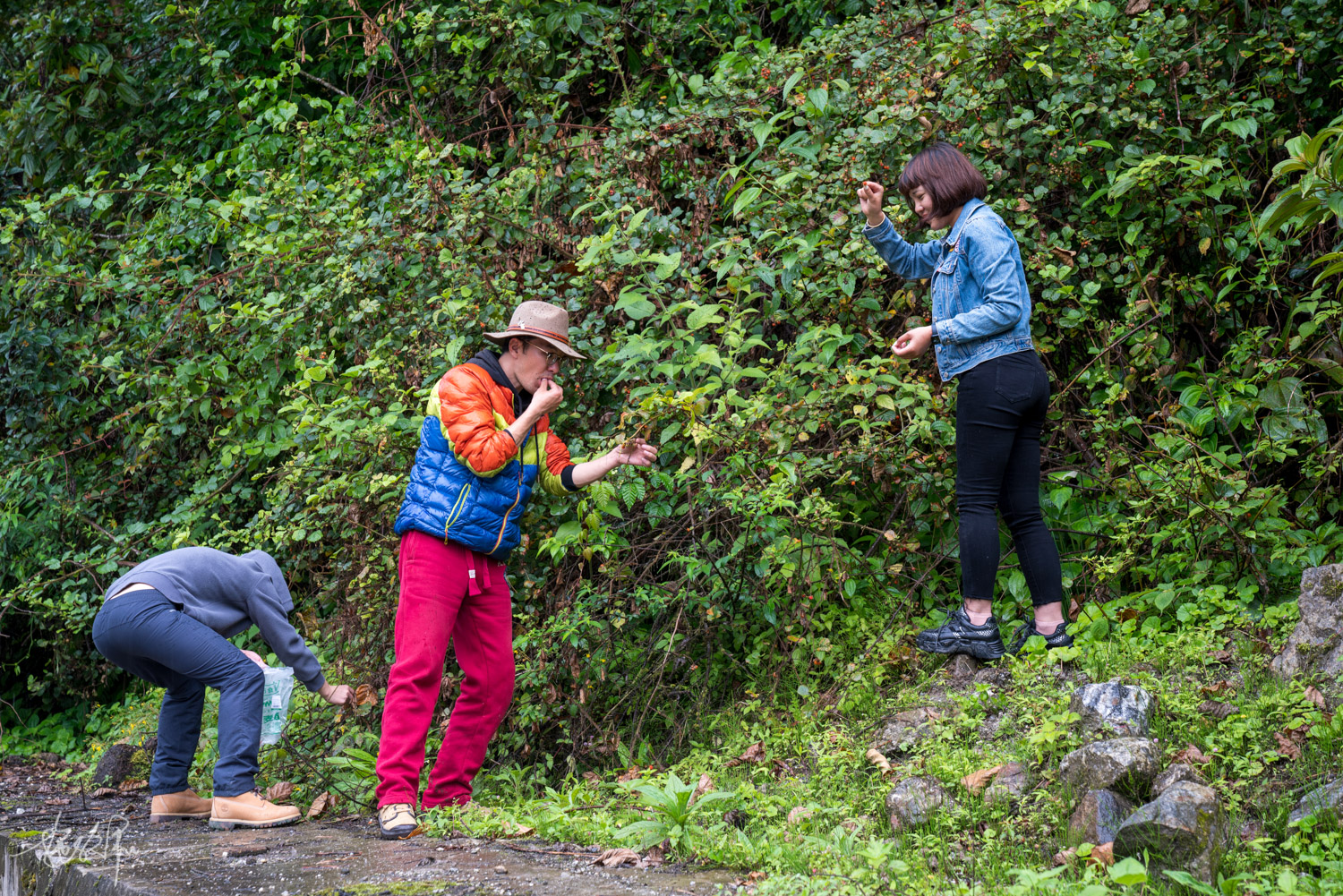 我的2022年度报告,我的2022原版