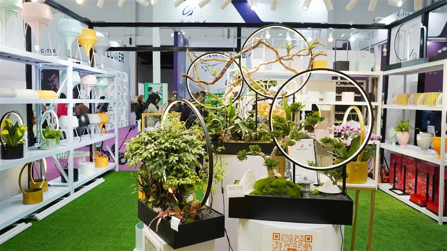 镇店之宝被抢购，“亚洲最美花展”上盆栽“吸睛”又“吸金”