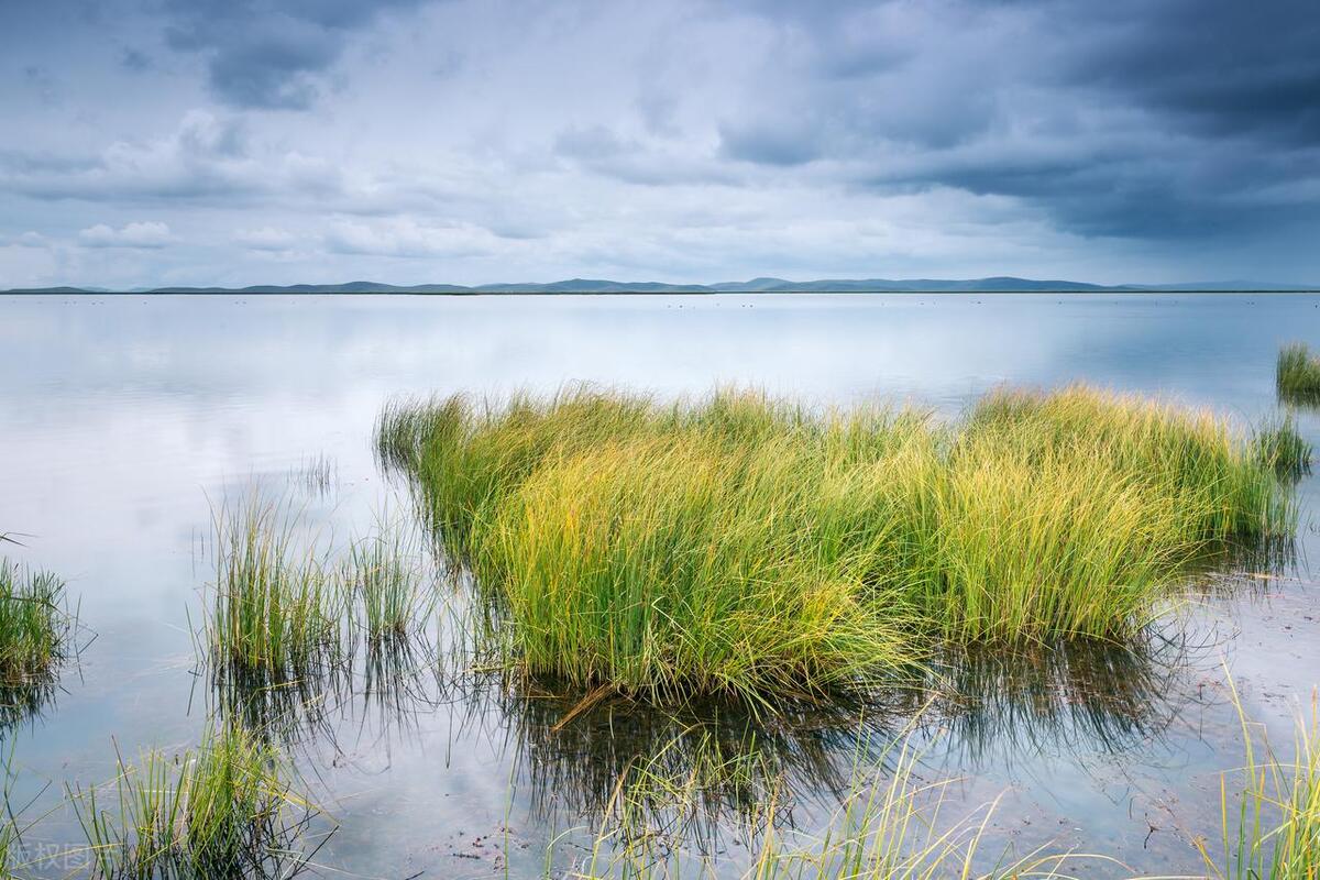 四川最美草原—若尔盖草原欣赏