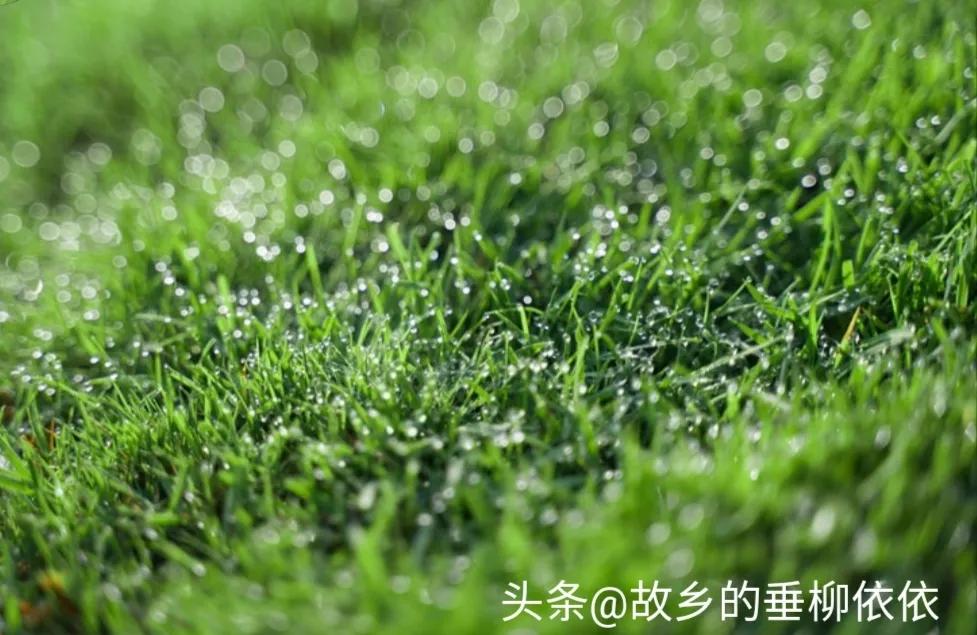 有邻如此，夫复何求