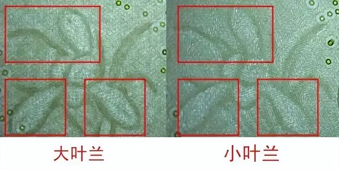 1元纸币逐步退出流通市场的原因,1毛钱的纸币退出流通市场了吗