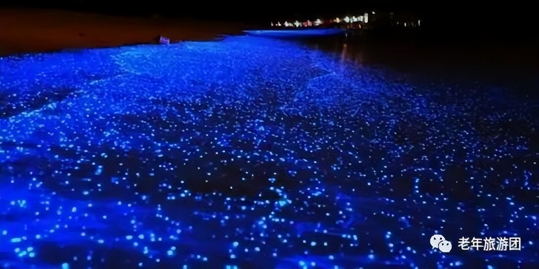 合肥去花鸟岛旅游攻略,上海到花鸟岛旅游攻略