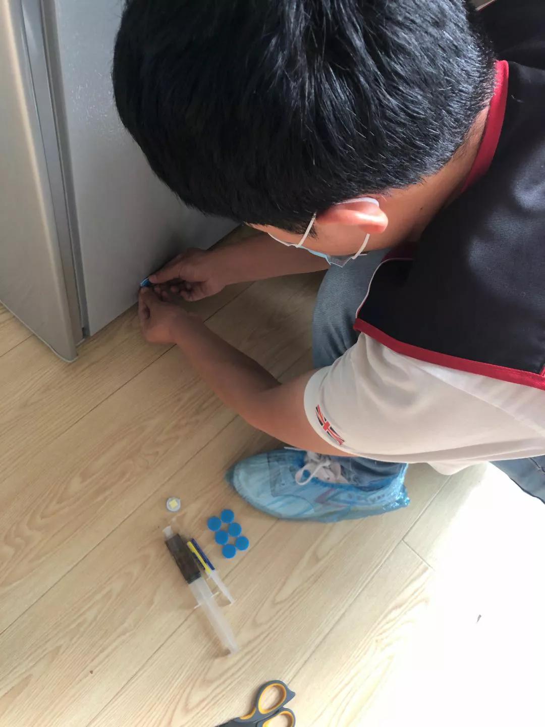 西安灭蟑螂的有效方法,西安快速灭蟑螂公司