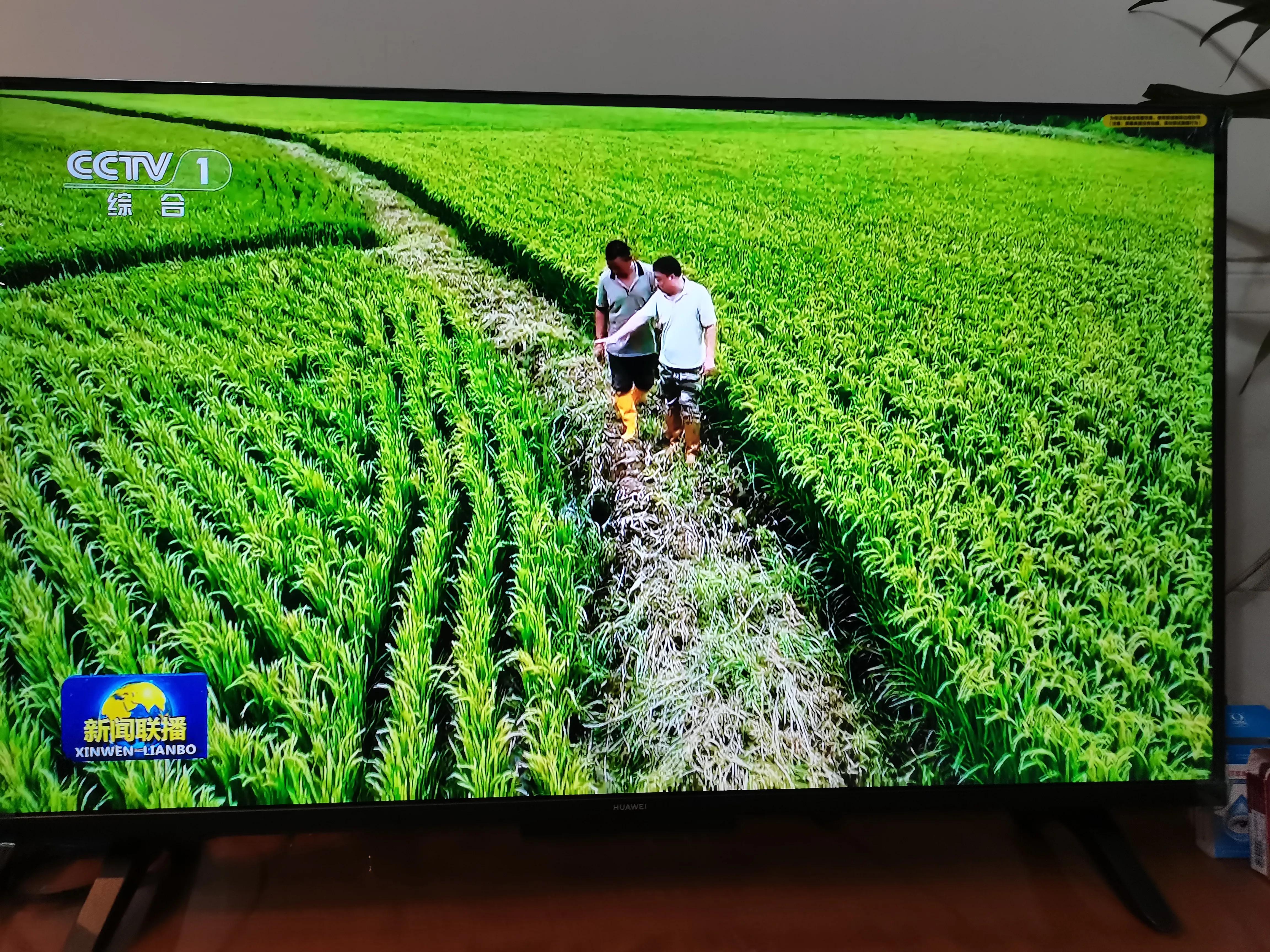 华为智慧屏se55寸电视怎么样,华为智慧屏se2