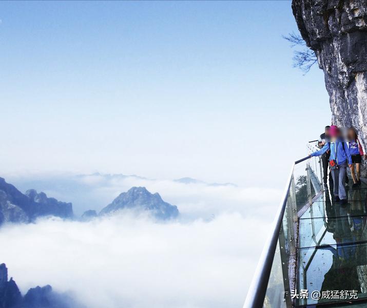 “约着一起死的群聊”！他们来自全国各地，只为了结伴自杀