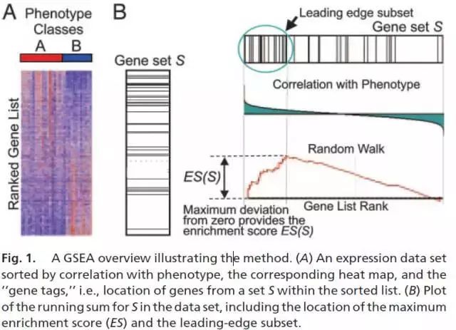 一文带你详解redis,gsea软件如何使用