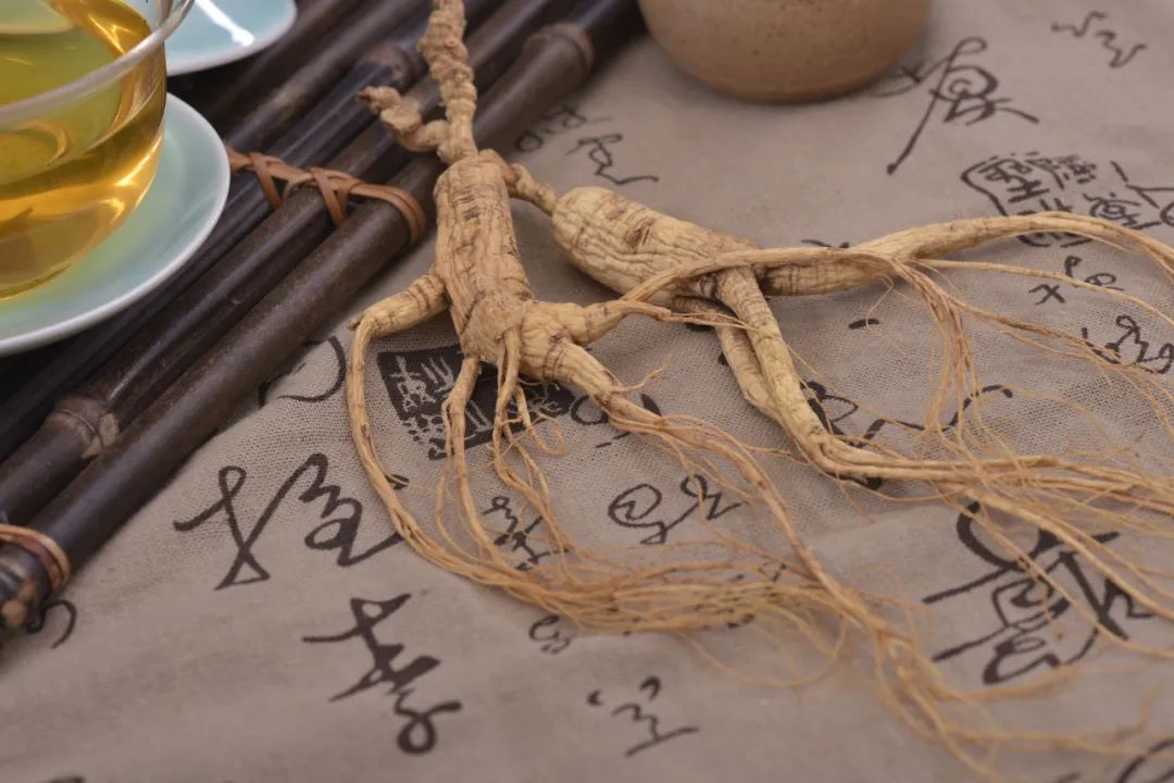 虚不受补怎么补肾,虚不受补怎么补身体