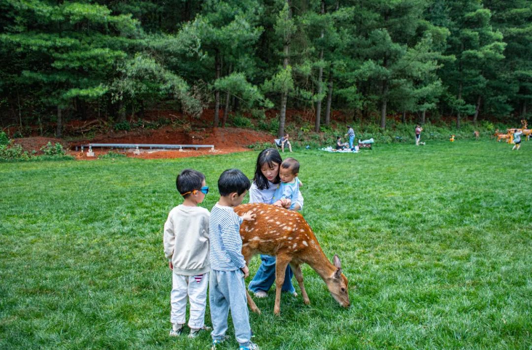 周末周边游盘点，昆明周边那些舒适度假地，景美、露天、距离近