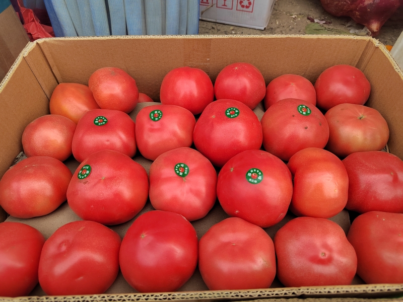 鍜岀敯甯傚満钄彍浠锋牸,鍜岀敯2021骞磋敩鑿滄壒鍙戜环鏍间竴瑙堣〃