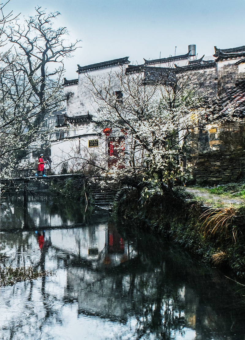 春色满园风景摄影,婺源摄影写真