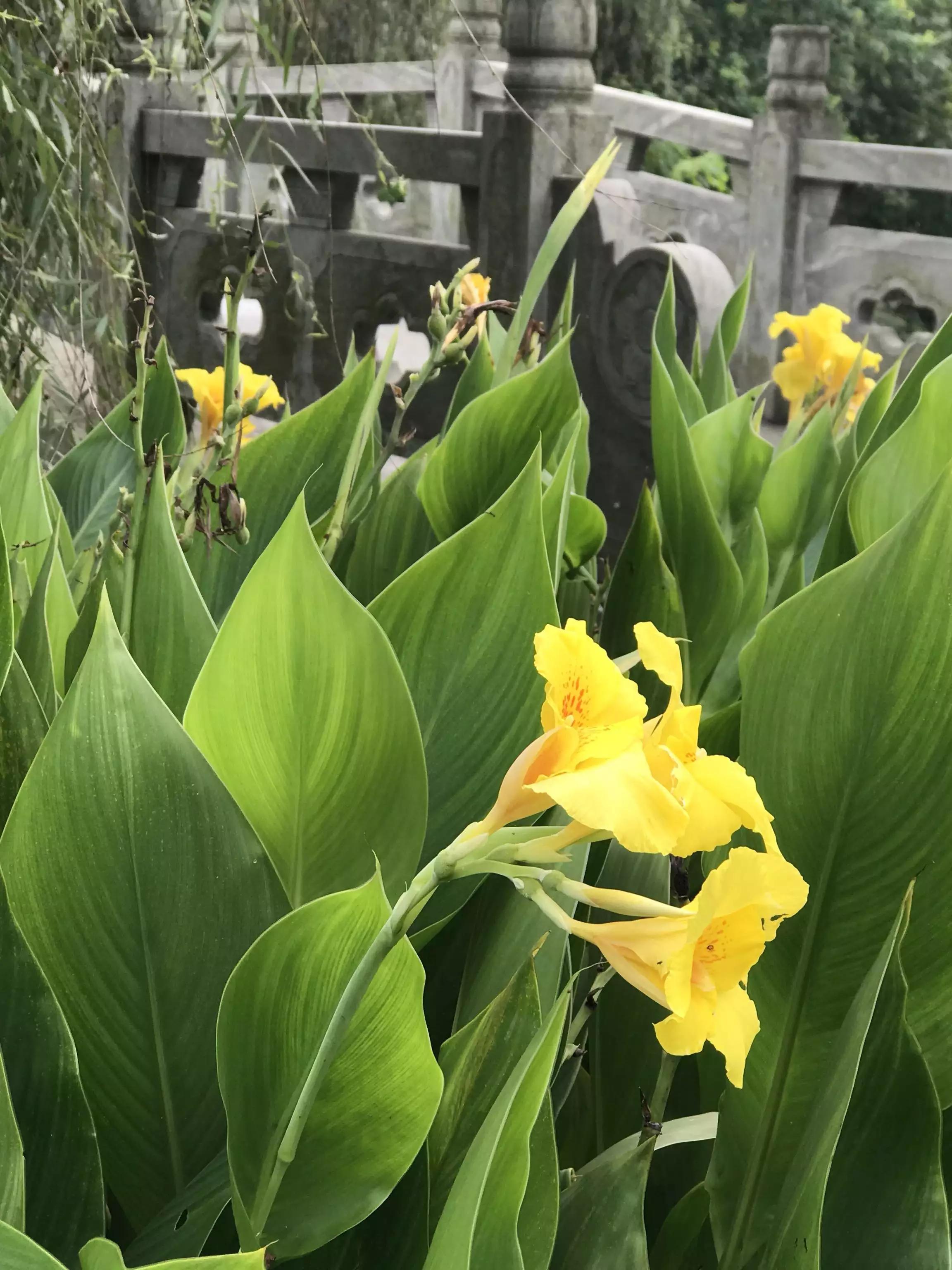 岁月斑驳留下来的都是静好时光,岁月斑驳愿时光静好