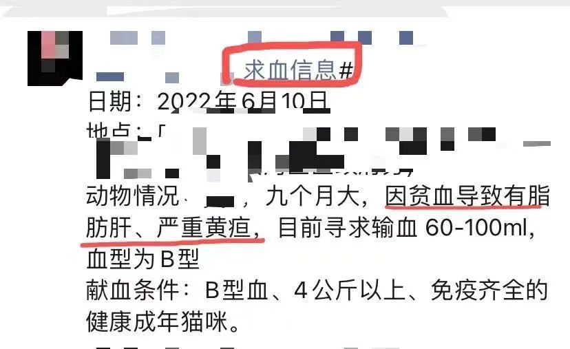 按病因犬猫贫血分为哪几个类型,公猫食欲不振精神萎靡