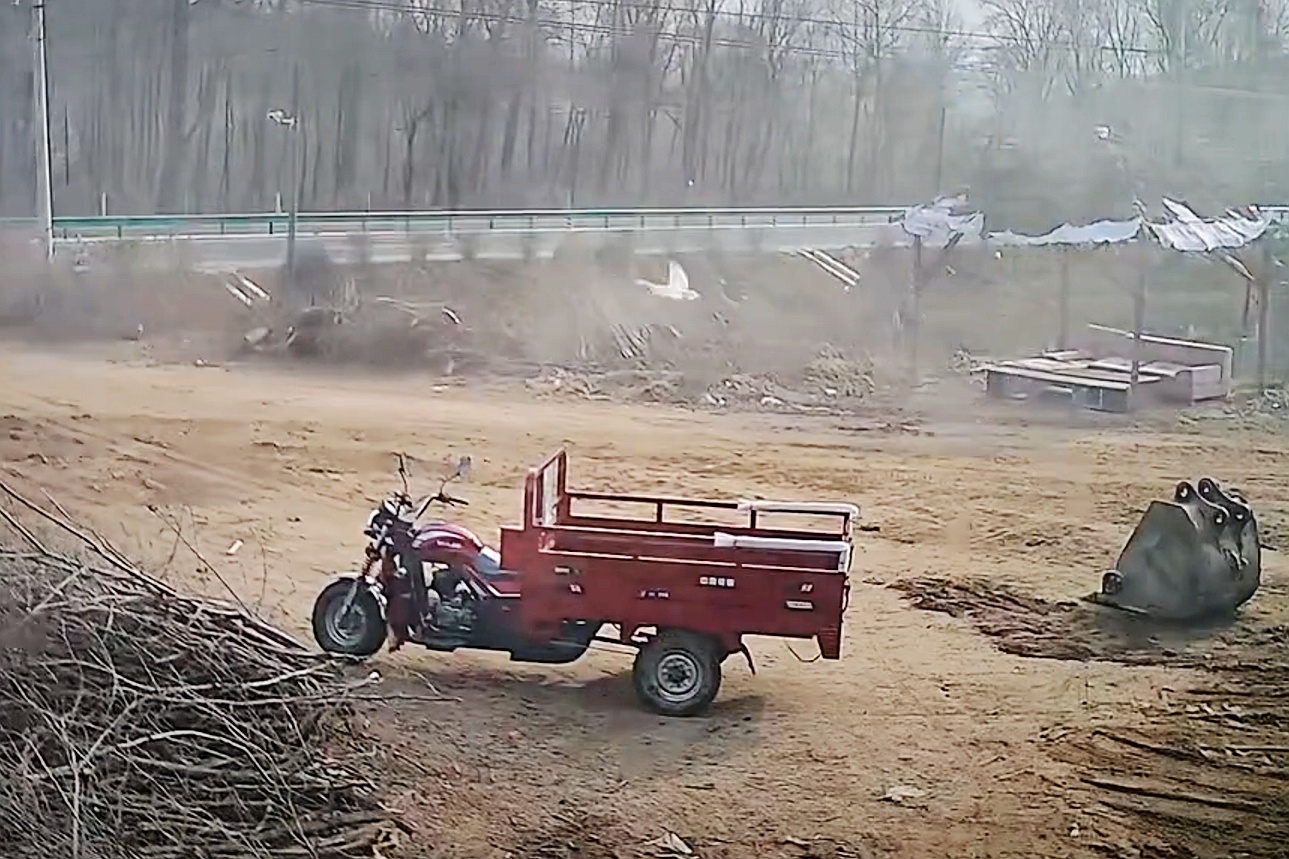 鹅被灌酒飞走,大鹅被灌酒后飞走