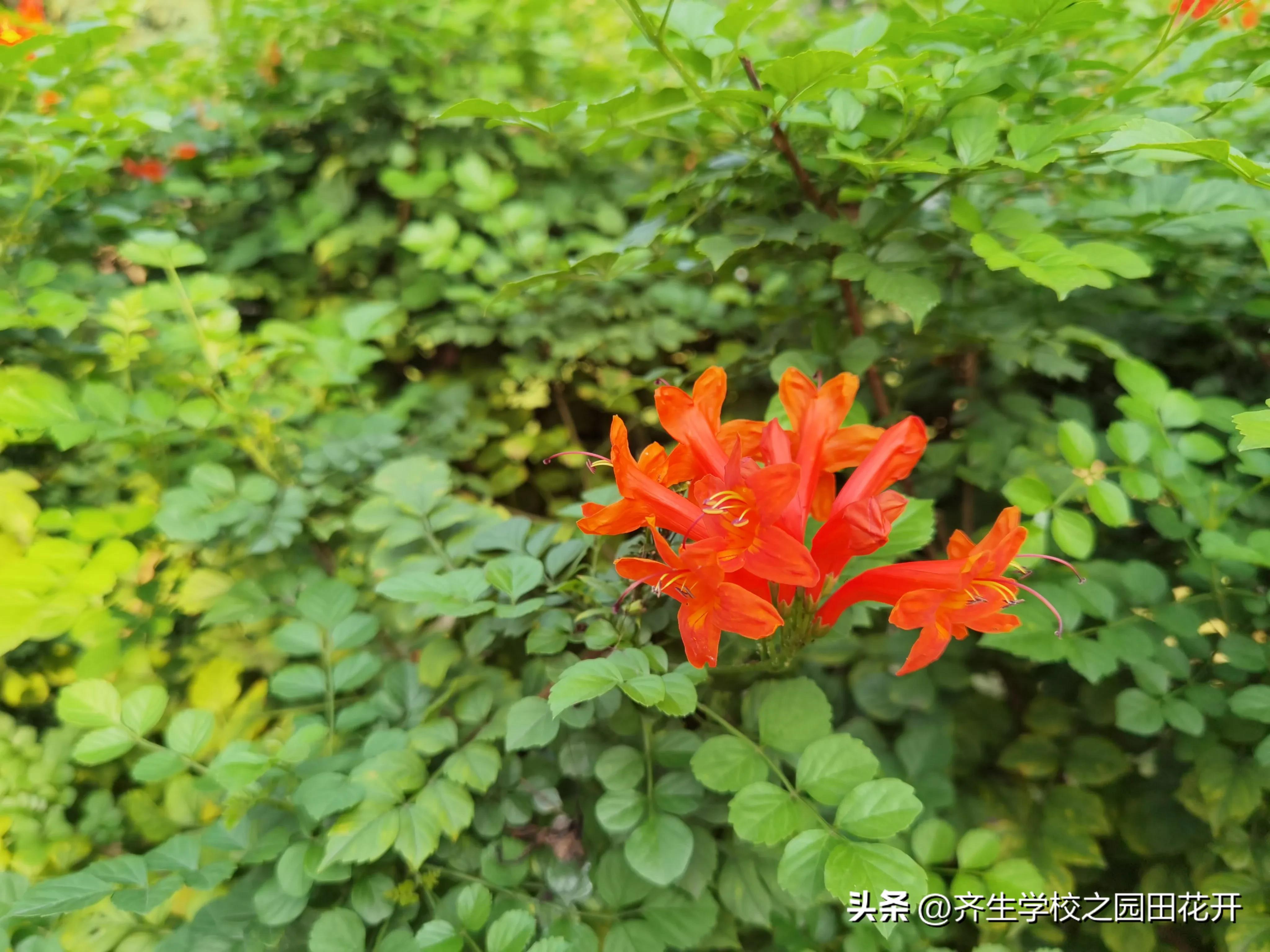 景观设计专业就业利弊,景观园林设计就业前景