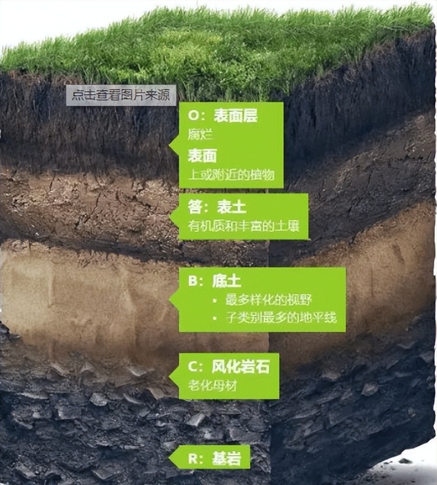 怎样预防地震保护措施,如何规避地震的破坏