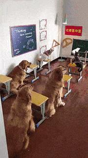 想穿这样的衣服还怕别人看见吗,穿这样的衣服出门真的不尴尬吗