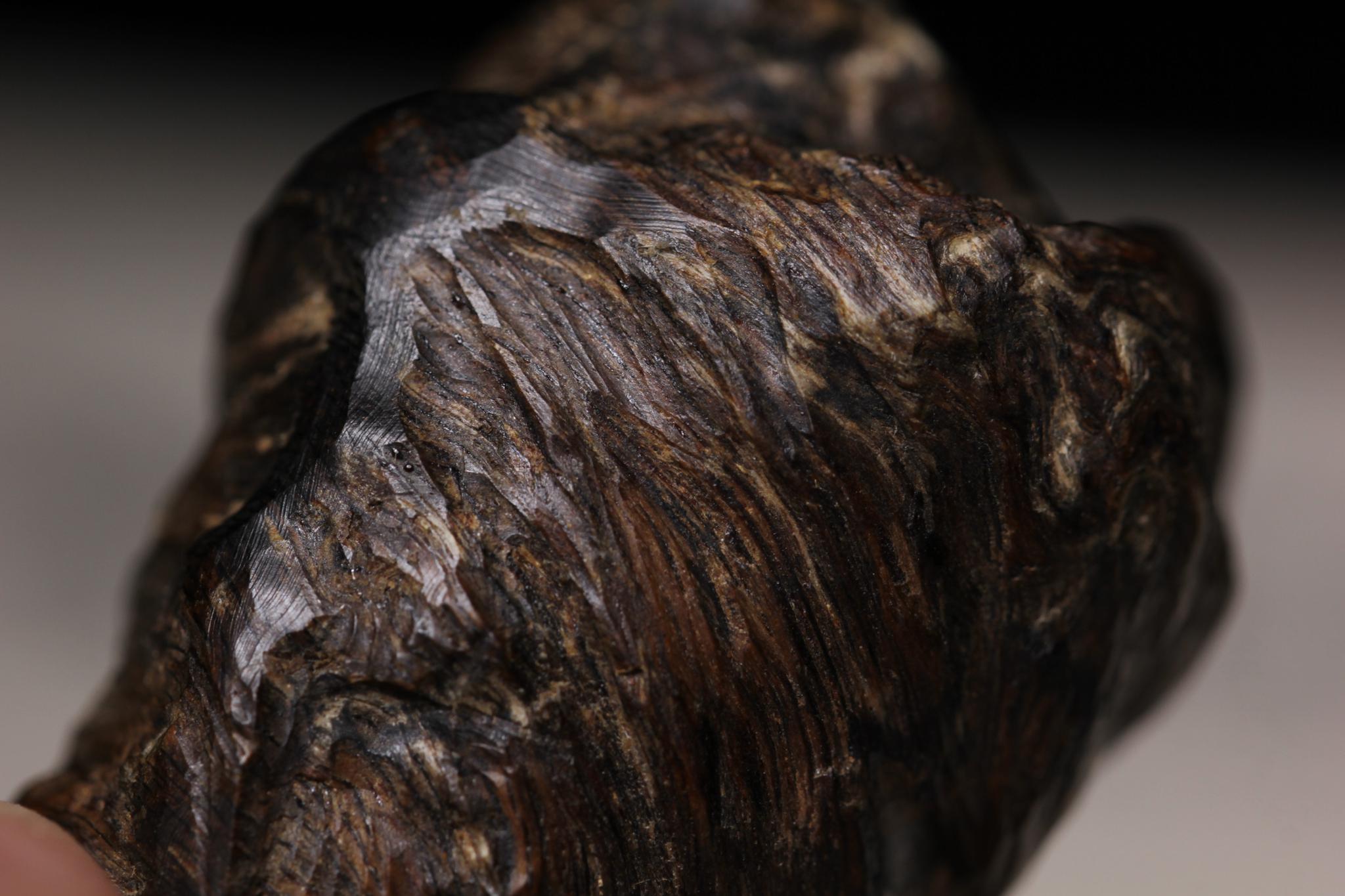 沉香比金子贵,沉香贵的跟便宜的区别