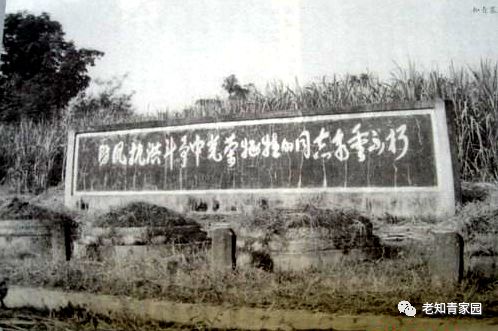 记录60年代真实中国生活,50年代百姓生活的真实影像