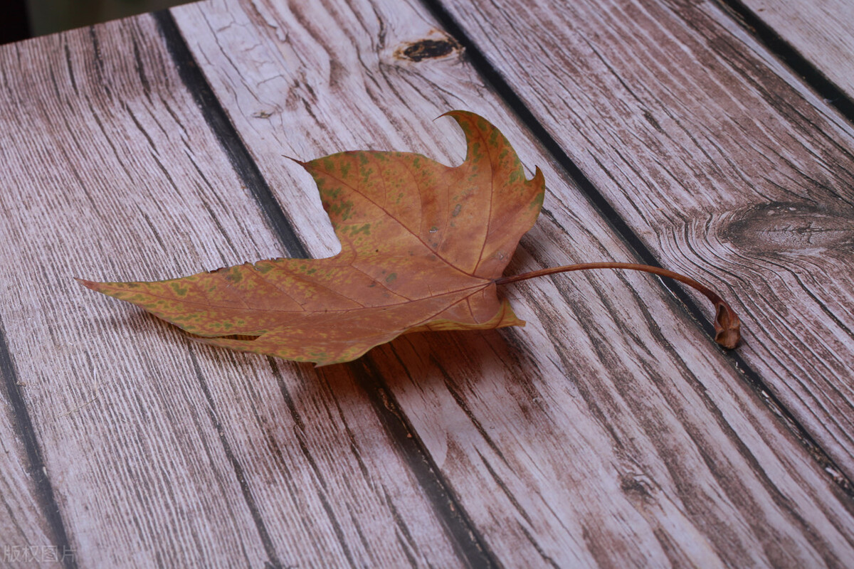 中国广告大师叶茂中,广告鬼才叶茂中