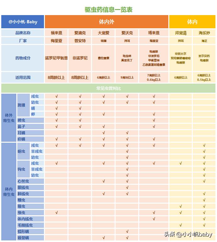 新手养猫铲屎官攻略,新手养猫驱虫知识