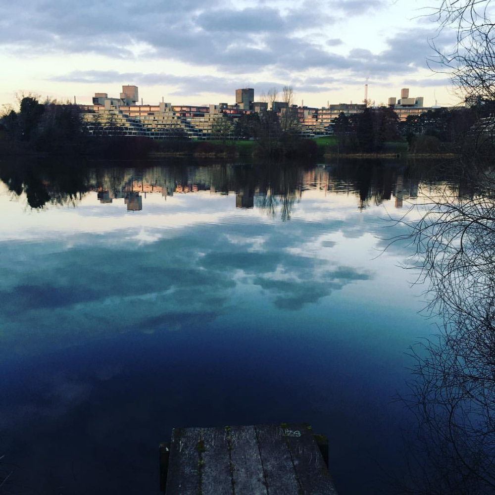 东英吉利大学属于什么档次,东英吉利大学专业