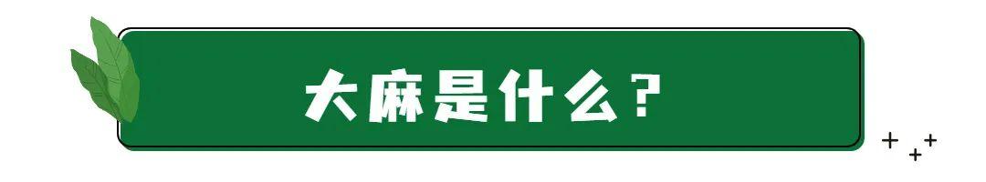 神奇的葡萄味冰淇淋,味道很不错的奇怪冰淇淋