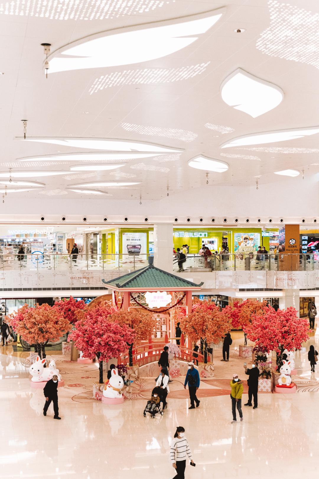 48h旅游攻略,香港h2攻略