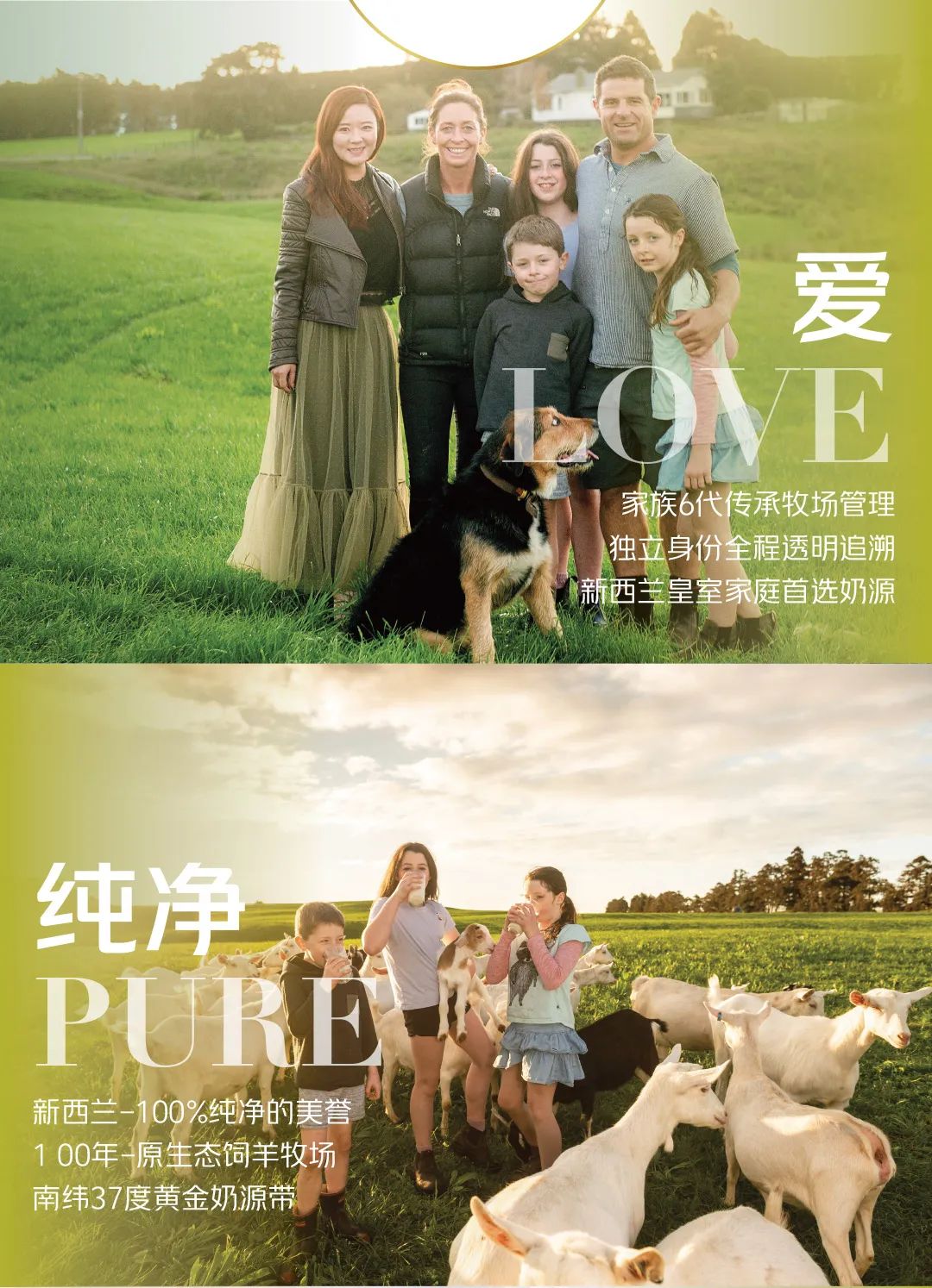 夏日必饮极致新鲜！典极羊乳酸菌饮品焕新上市，冷藏风味更佳