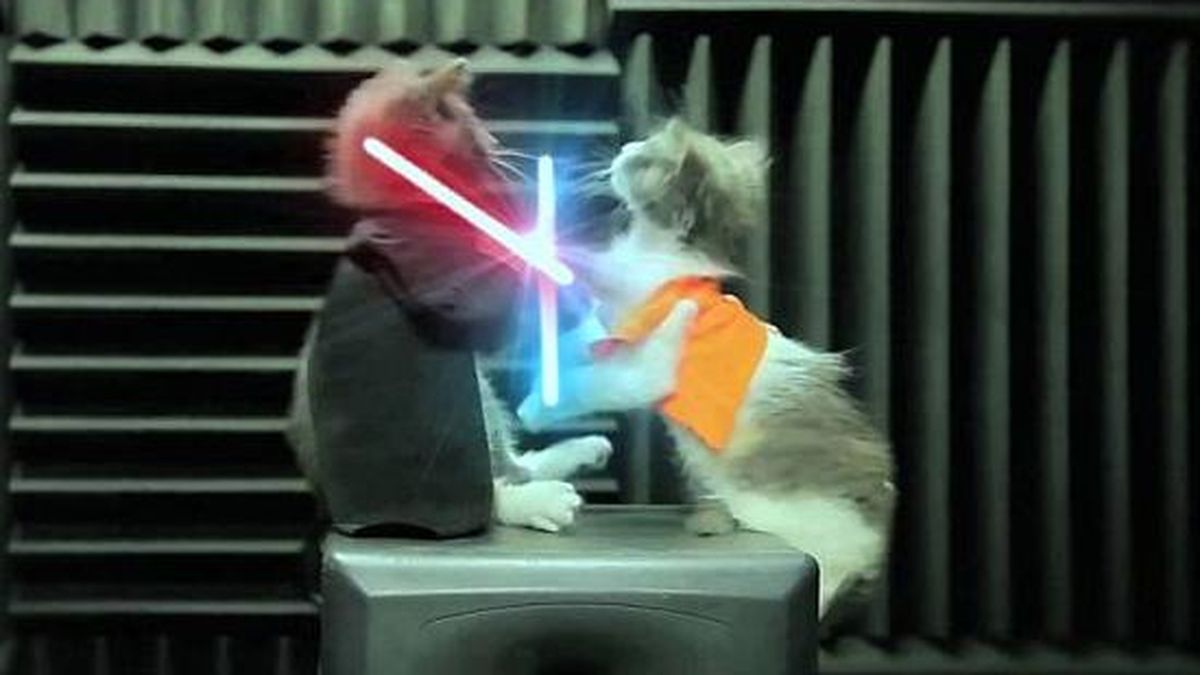 国际版抖音都有哪些网红,国际版抖音中国网红排行