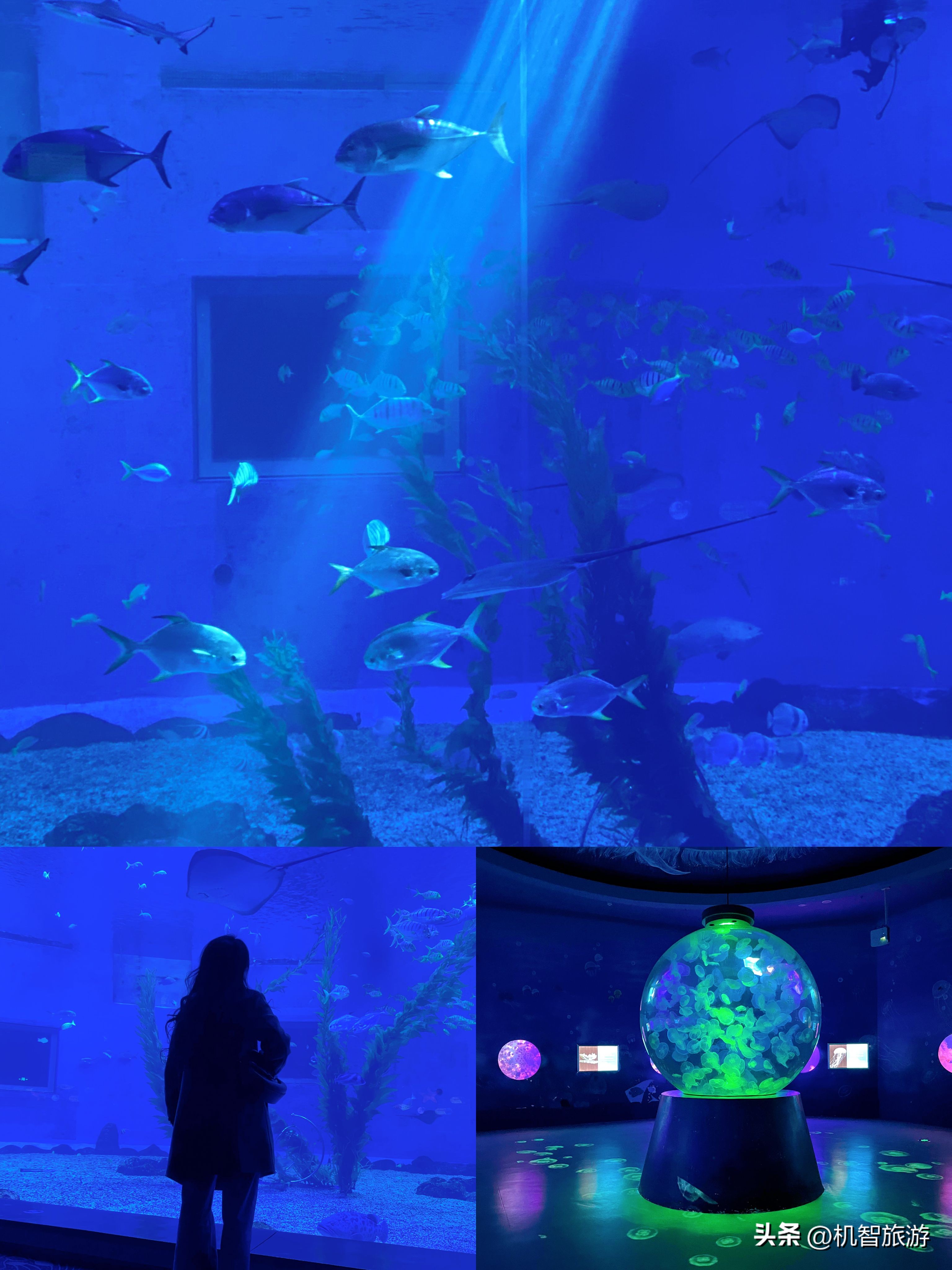 去日照十次搜罗到几个绝美打卡地,来日照必须去玩的几个景点