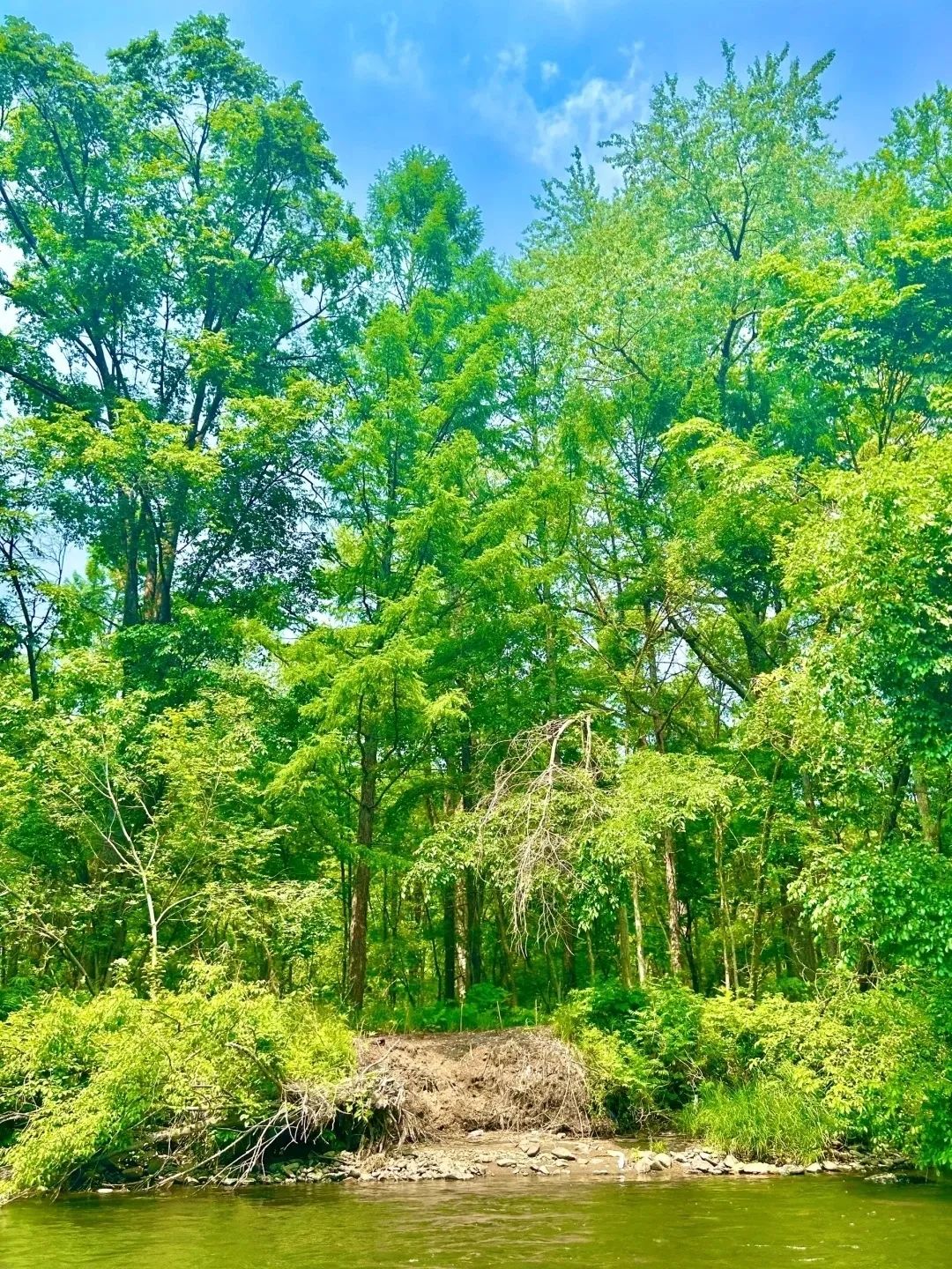 吉林漂流最好的地方在哪,吉林漂流哪天开始