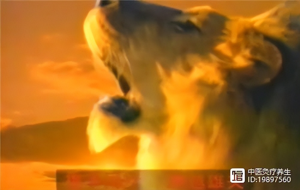 重温当年那些经典,回味那些年经典的句子