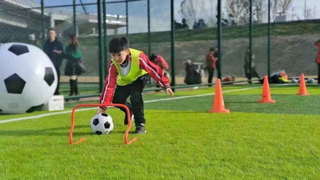 蔚蔚幼儿园六一,蔚蔚幼儿园课程