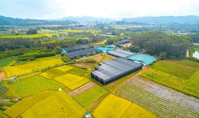 佛山江门广州旅游攻略,佛山去江门旅游攻略